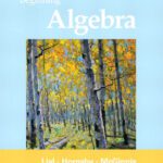 خرید و دانلود نسخه کامل کتاب Beginning Algebra, 11th Edition