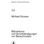 خرید و دانلود نسخه کامل کتاب Bidualräume und Vervollständigungen von Banachmoduln