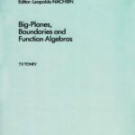 خرید و دانلود نسخه کامل کتاب Big-Planes, Boundaries and Function Algebras