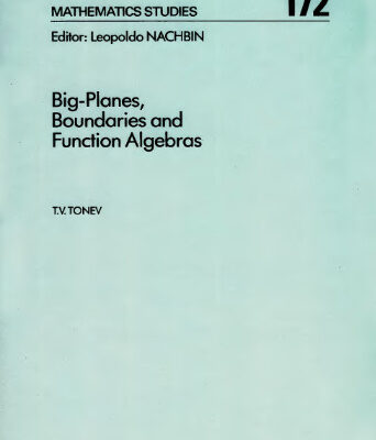 خرید و دانلود نسخه کامل کتاب Big-Planes, Boundaries and Function Algebras