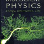 خرید و دانلود نسخه کامل کتاب Biological Physics – Energy, Information, Life