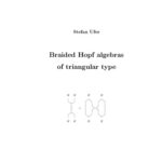 خرید و دانلود نسخه کامل کتاب Braided Hopf algebras of triangular type [PhD thesis]