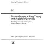خرید و دانلود نسخه کامل کتاب Brauer Groups in Ring Theory and Algebraic Geometry. Proc. Antwerp, 1981