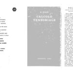 خرید و دانلود نسخه کامل کتاب Calcolo Tensoriale