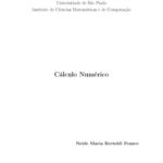 خرید و دانلود نسخه کامل کتاب Cálculo Numérico