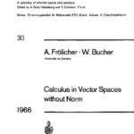 خرید و دانلود نسخه کامل کتاب Calculus in Vector Spaces without Norm