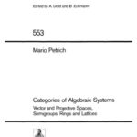 خرید و دانلود نسخه کامل کتاب Categories of Algebraic Systems: Vector and Projective Spaces, Semigroups, Rings and Lattices