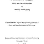 خرید و دانلود نسخه کامل کتاب Characterisation of Interfaces in Micro- and Nano-composites
