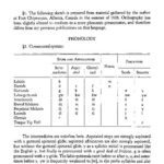 خرید و دانلود نسخه کامل کتاب Chipewyan Grammar : from Linguistic Structures of Native America, pp. 398-423