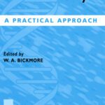خرید و دانلود نسخه کامل کتاب Chromosome Structural Analysis: A Practical Approach (The Practical Approach Series, 200)