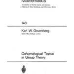 خرید و دانلود نسخه کامل کتاب Cohomological topics in group theory