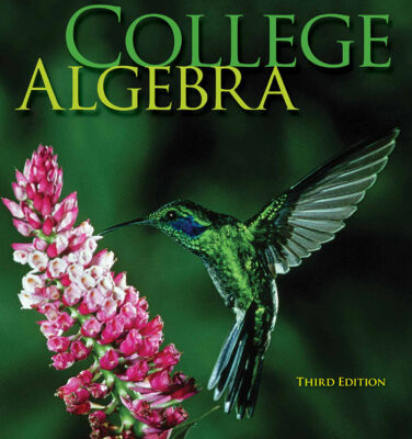 خرید و دانلود نسخه کامل کتاب College Algebra