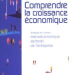 خرید و دانلود نسخه کامل کتاب Comprendre la croissance économique