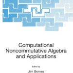خرید و دانلود نسخه کامل کتاب Computational Noncommutative Algebra and Applications