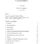 خرید و دانلود نسخه کامل کتاب Computer-Algebra