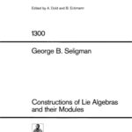 خرید و دانلود نسخه کامل کتاب Constructions of Lie Algebras and their Modules