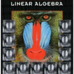خرید و دانلود نسخه کامل کتاب Contemporary linear algebra / Vol. 1.
