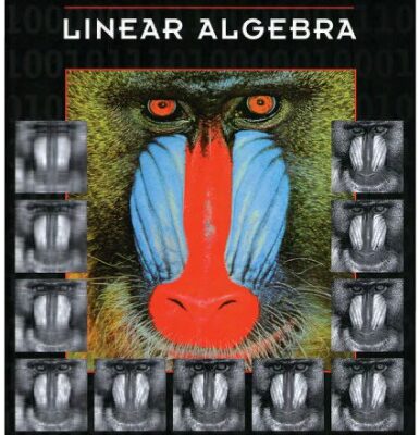 خرید و دانلود نسخه کامل کتاب Contemporary linear algebra / Vol. 1.