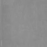 خرید و دانلود نسخه کامل کتاب Continuous Geometry