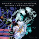 خرید و دانلود نسخه کامل کتاب Copper Amine Oxidases: Structures, Catalytic Mechanisms and Role in Pathophysiology
