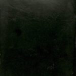 خرید و دانلود نسخه کامل کتاب Corpus of Śāradā Inscriptions of Kashmir