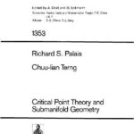 خرید و دانلود نسخه کامل کتاب Critical Point Theory and Submanifold Geometry