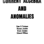 خرید و دانلود نسخه کامل کتاب Current algebras and anomalies