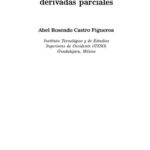 خرید و دانلود نسخه کامل کتاب Curso básico de ecuaciones en derivadas parciales