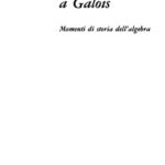 خرید و دانلود نسخه کامل کتاب Da Cardano a Galois. Momenti di storia dell’algebra