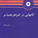 خرید و دانلود نسخه کامل کتاب گامهایی در جبر تعویضپذیر