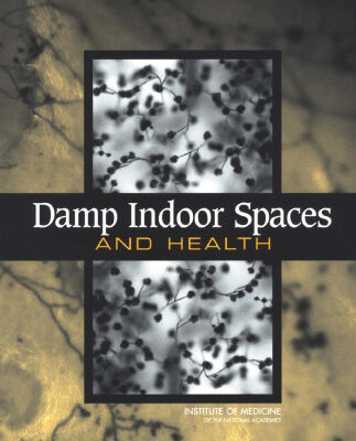 خرید و دانلود نسخه کامل کتاب Damp Indoor Spaces and Health