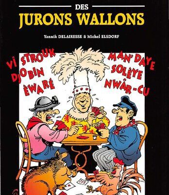 خرید و دانلود نسخه کامل کتاب Dico officiel des jurons wallons