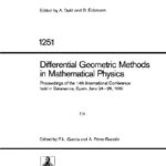 خرید و دانلود نسخه کامل کتاب Differential Geometric Methods in Mathematical Physics: Proceedings of the 14th International Conference held in Salamanca, Spain, June 24–29, 1985