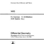 خرید و دانلود نسخه کامل کتاب Differential Geometry