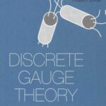 خرید و دانلود نسخه کامل کتاب Discrete Gauge Theory: From Lattices to TQFT