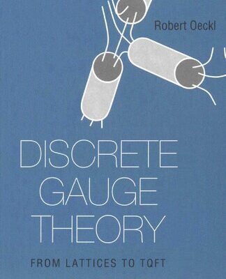 خرید و دانلود نسخه کامل کتاب Discrete Gauge Theory: From Lattices to TQFT