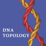 خرید و دانلود نسخه کامل کتاب DNA Topology