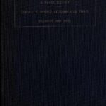 خرید و دانلود نسخه کامل کتاب Dynamo Labratory Manual-Direct Current Studies and Tests Advanced Edi
