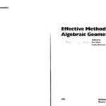 خرید و دانلود نسخه کامل کتاب Effective Methods in Algebraic Geometry