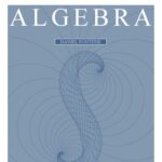 خرید و دانلود نسخه کامل کتاب Efficient implementation of geometric algebra