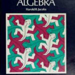 خرید و دانلود نسخه کامل کتاب Elementary Algebra