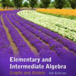 خرید و دانلود نسخه کامل کتاب Elementary and Intermediate Algebra: Graphs and Models, 4th Edition