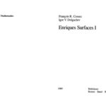 خرید و دانلود نسخه کامل کتاب Enriques Surfaces I