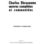 خرید و دانلود نسخه کامل کتاب Esquisses et complétions