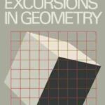 خرید و دانلود نسخه کامل کتاب Excursions in geometry