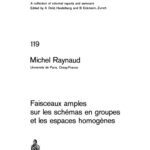 خرید و دانلود نسخه کامل کتاب Faisceaux amples sur les schemas en groupes et les espaces homogenes