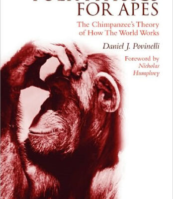 خرید و دانلود نسخه کامل کتاب Folk Physics for Apes: The Chimpanzee’s Theory of How the World Works