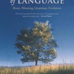 خرید و دانلود نسخه کامل کتاب Foundations of Language: Brain, Meaning, Grammar, Evolution