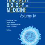 خرید و دانلود نسخه کامل کتاب Fractals in Biology and Medicine: Volume IV (Mathematics and Biosciences in Interaction)