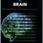 خرید و دانلود نسخه کامل کتاب From computer to brain: foundations of computational neuroscience
